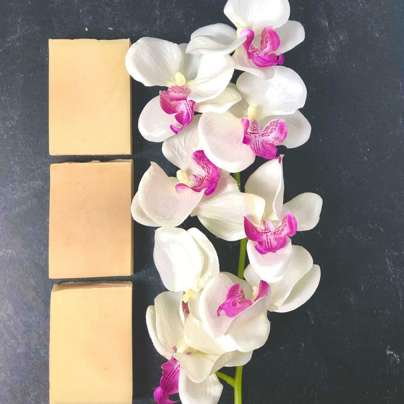 Pure & Simple Unscented Goat Milk Soap from Sweet Surrender  12,bar soap, soap bar, artisan soap bar, natural soap bar, goat milk soap bar, oatmeal soap bar, dry skin soap bar, bath and body care, body soap, face soap bar, best soap bar in las vegas, best artisan soap bar in henderson nevada, best artisan soap bar, oatmeal soap bar, goat milk, soap bar, dry skin soap, best soap for sensitive skin 